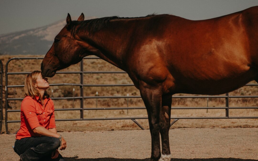Why Horses Are Excellent Spiritual Teachers