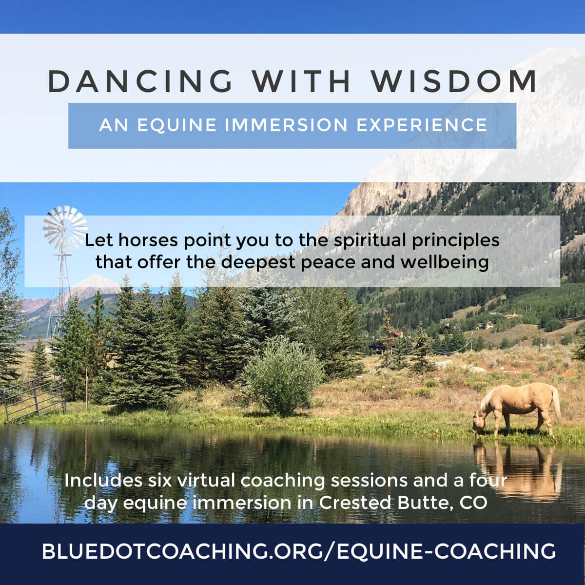 Dancing with wisdom 2 COMP