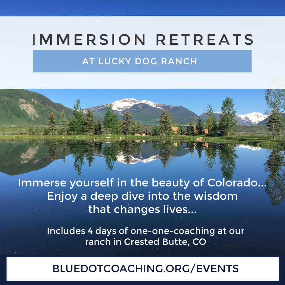 Ad for Immersion sp 21 COMp